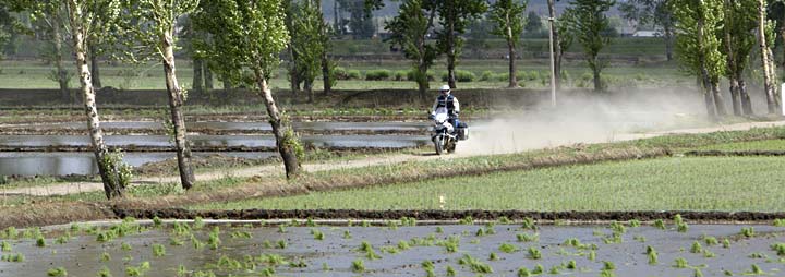 Helge riding through the rice paddies in China.